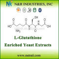 Extracto de levadura enriquecido de L-glutatión en polvo CAS NO 70-18-8